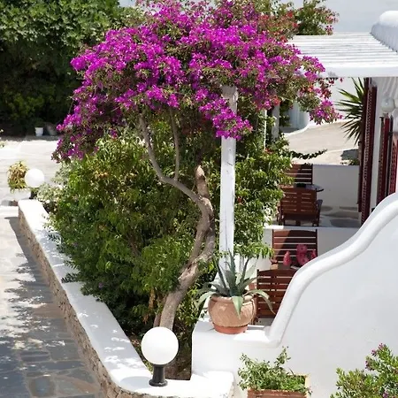 Domna 호텔 Mykonos Town